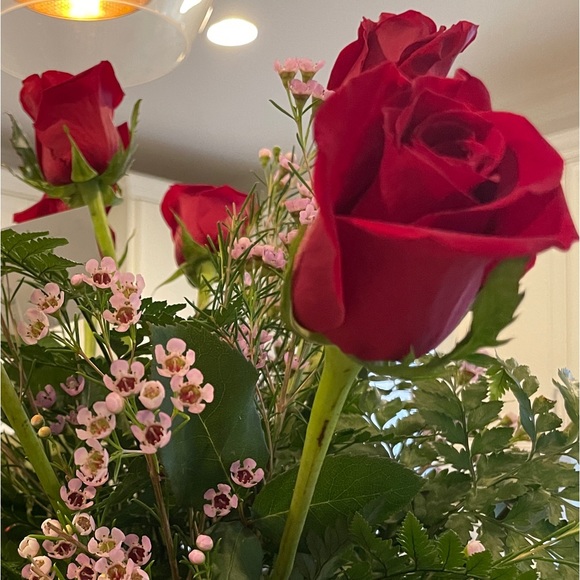 Meet your Posher, Lauren - Picture 1 of 1